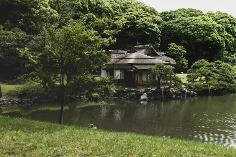 The Architecture of Overwhelm: Why Every Civilization Builds an Exit Door