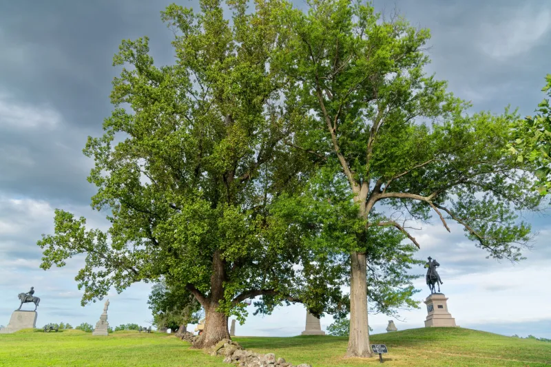 Standing Where It Happened: The Ancient Human Need to Visit Places of Catastrophe