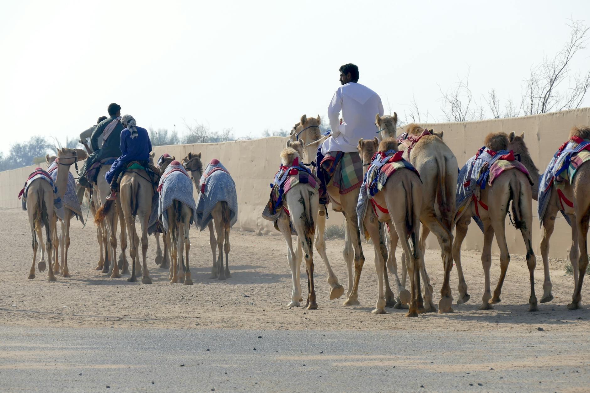 What Ibn Battuta Actually Packed: The Lost Art of Carrying Only What the Road Demands