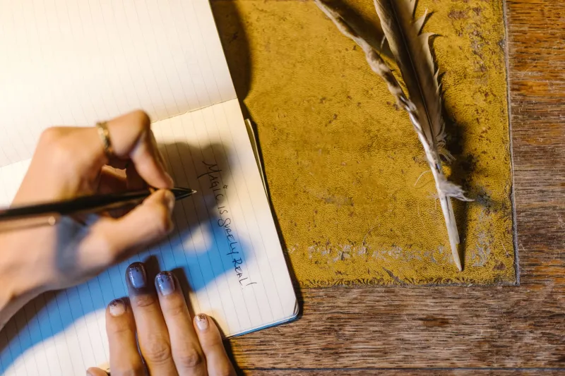 What the Pilgrim Wrote Down: The Eternal War Between Experience and Its Erasure